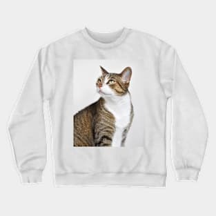 Toby Crewneck Sweatshirt